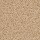 Dixie Home: Chromatic Touch Oatmeal